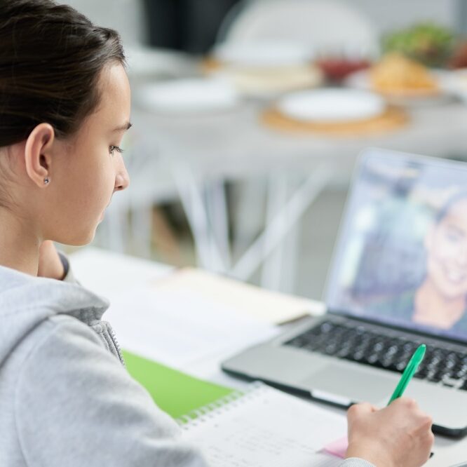 Student on an online call with a chemistry tutor